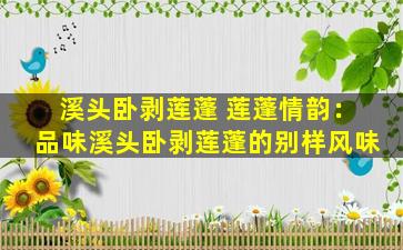 溪头卧剥莲蓬 莲蓬情韵：品味溪头卧剥莲蓬的别样风味